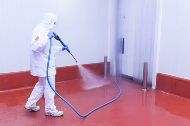 Playground Equipment Cleaning in Conneaut, OH